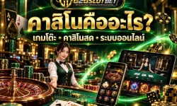 คาสิโนคืออะไร ต่างจากคาสิโนออนไลน์และคาสิโนสดอย่างไร รู้จักเกมโต๊ะ ระบบ RNG กติกา วงเงินเดิมพัน RTP และข้อมูลบัญชีที่ควรตรวจสอบก่อนใช้งาน